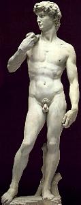 David by Michelangelo reversed