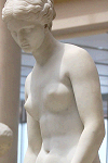 Museum Peace