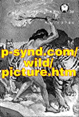 Variation on Jungle Book cover - Mowgli attacking Shere Khan by an unknown Korean artist loosely based on Stuart Tresilian's version