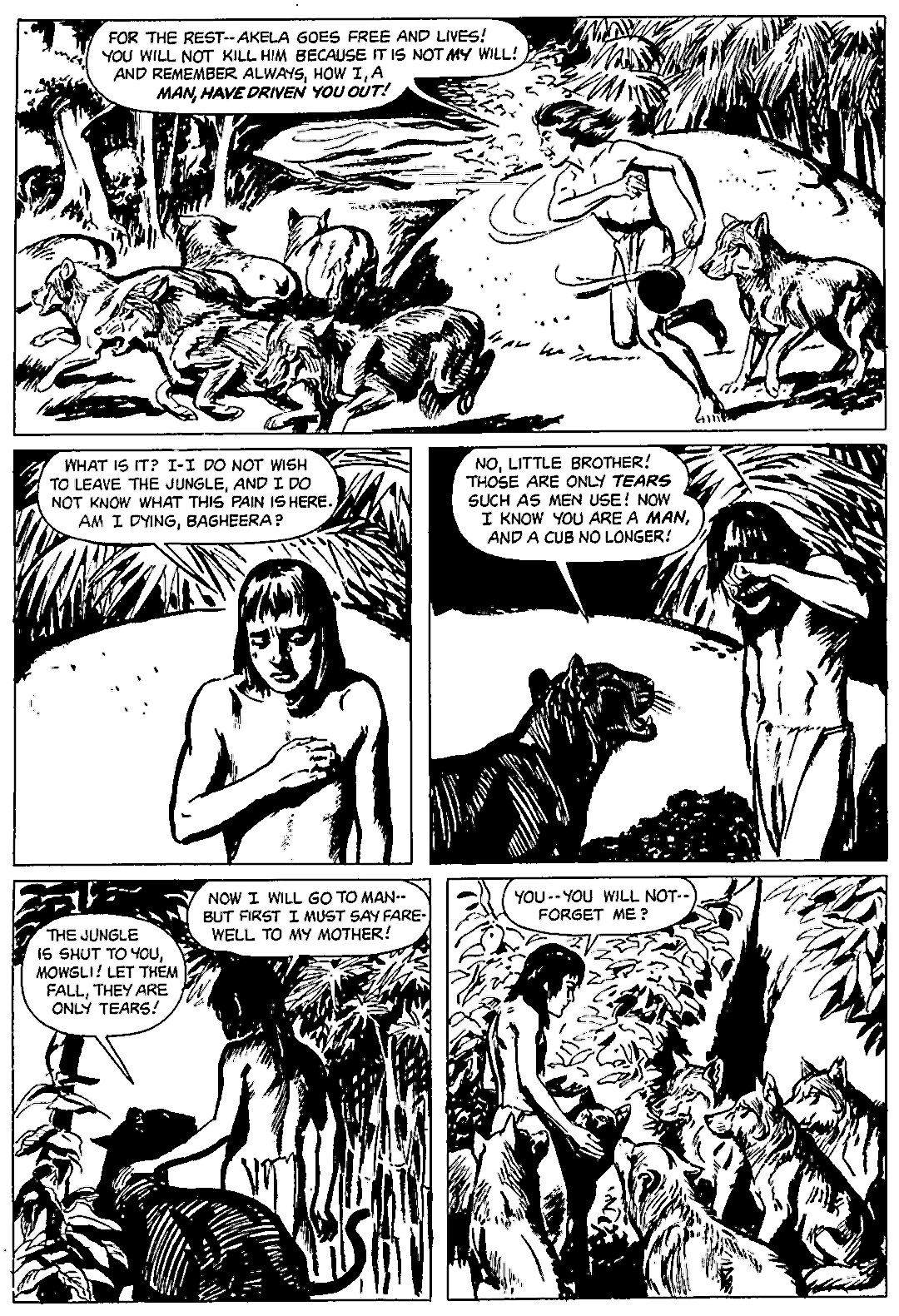 Rudyard Kipling's Mowgli: Jungle Book #1 page 33