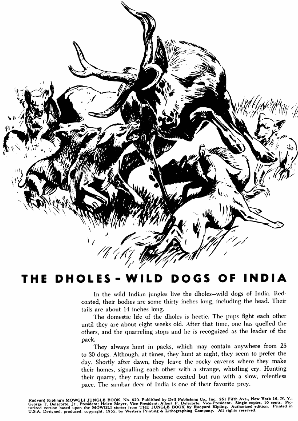 Rudyard Kipling's Mowgli: Jungle Book #3 frontispiece: The Dholes