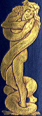 Gold embossed spine illustration depicting Mowgli wrestling with Kaa