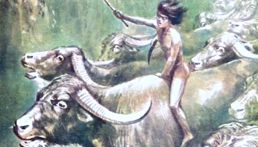Mowgli drives the buffalo toward Shere Khan
