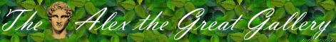 Alex's banner