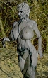 Wastoid 4