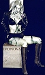 Wastoid 4