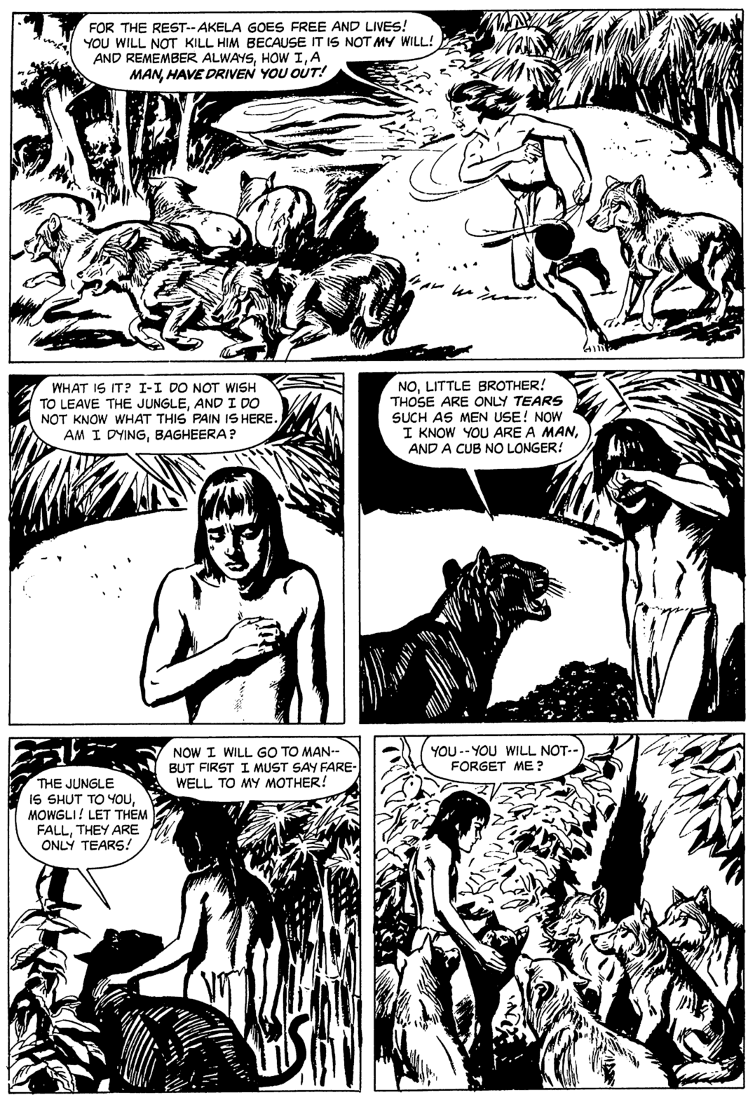 Rudyard Kipling's Mowgli: Jungle Book #1 page 33 Rudyard Kipling's Mowgli: Jungle Book #1 page 33