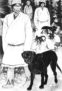 He met Tibetan herdsmen with their dogs and flocks of sheep