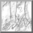 Pyrénée sketch - Cedric Pyrénée sketch - Cedric