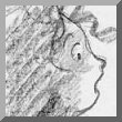 Pyrénée and bear sketch - Laurens Pyrénée and bear sketch - Laurens