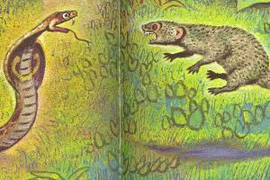 Rikki-tikki fights Nagaina in the garden