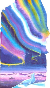 Kotick beneath the Northern Lights